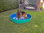Doggy Pool in POOLFARBE ROT/BLAU, GRÜN/BLAU oder BLAU/SCHWARZ