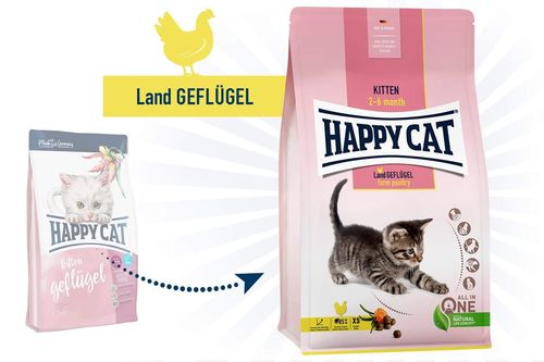 Happy Cat Young Kitten Land-Geflügel