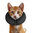 ZenCollar-ehemals ProCollar Halskrause für Hunde und Katzen