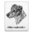 Emailleschild Jack Russel Terrier 20 x 25 cm