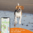 Das weltweit kleinste GPS für Hunde Weenect Dogs 2