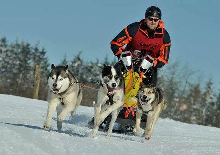 Stefan Weishäupl mit seinen Huskies beim Rennen in Frauenwald.\\n\\n22.12.2015 16:46